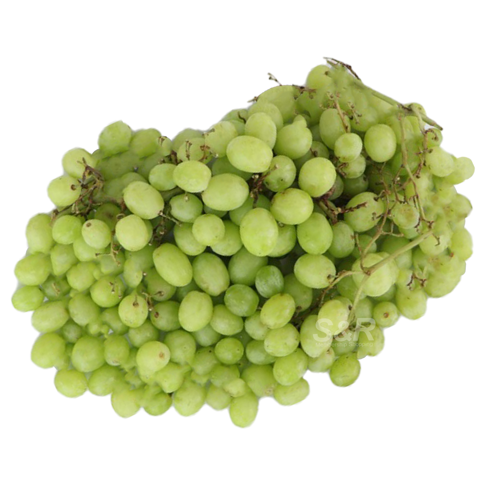 S&R US Seedless Green Grapes approx. 1.5kg